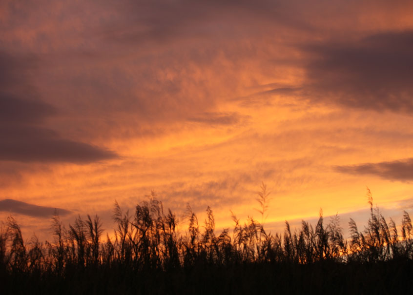 5F1A7066-882E-11ED-9E65-52540099C722.JPEG